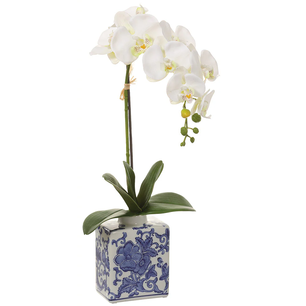 22" Phalaenopsis Orchid Silk Flower Arrangement w/Ceramic Vase -Cream (Pack of 2)