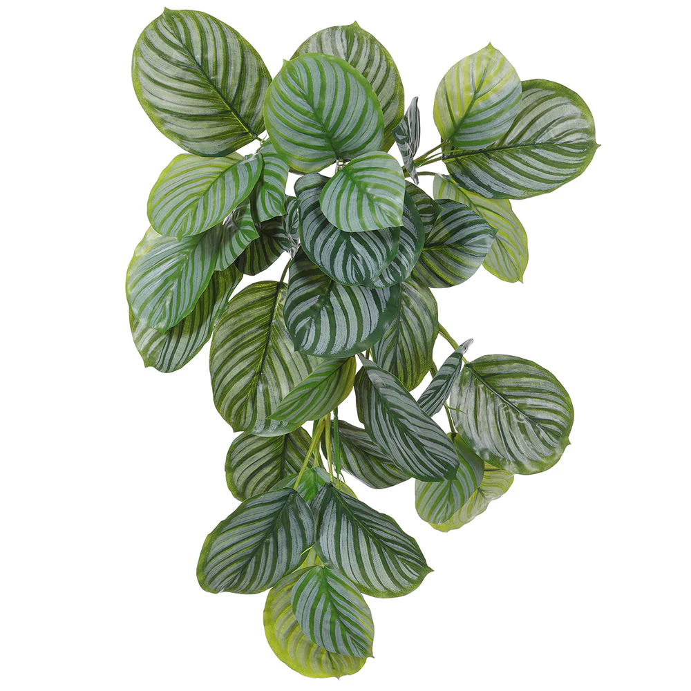 22" Real Touch Hanging Calathea Leaf Artificial Plant -2 Tone Green (Pack of 6)