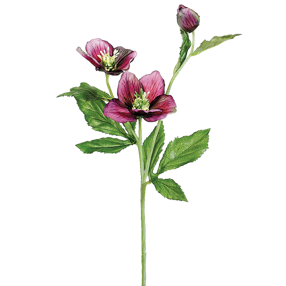 22" Silk Helleborus Flower Spray -Violet (Pack of 12)