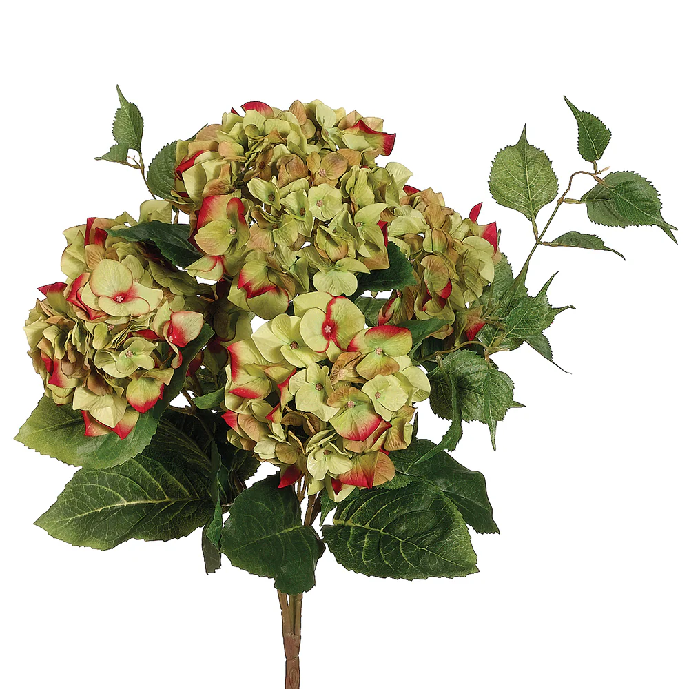 22" Silk Hydrangea Flower Bush -Green/Beauty (Pack of 6)