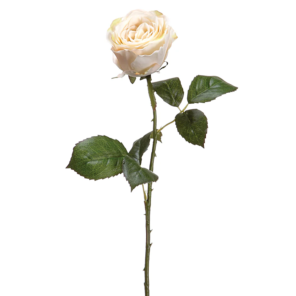 22" Silk Large Rose Bud Flower Spray -Beige (Pack of 12)
