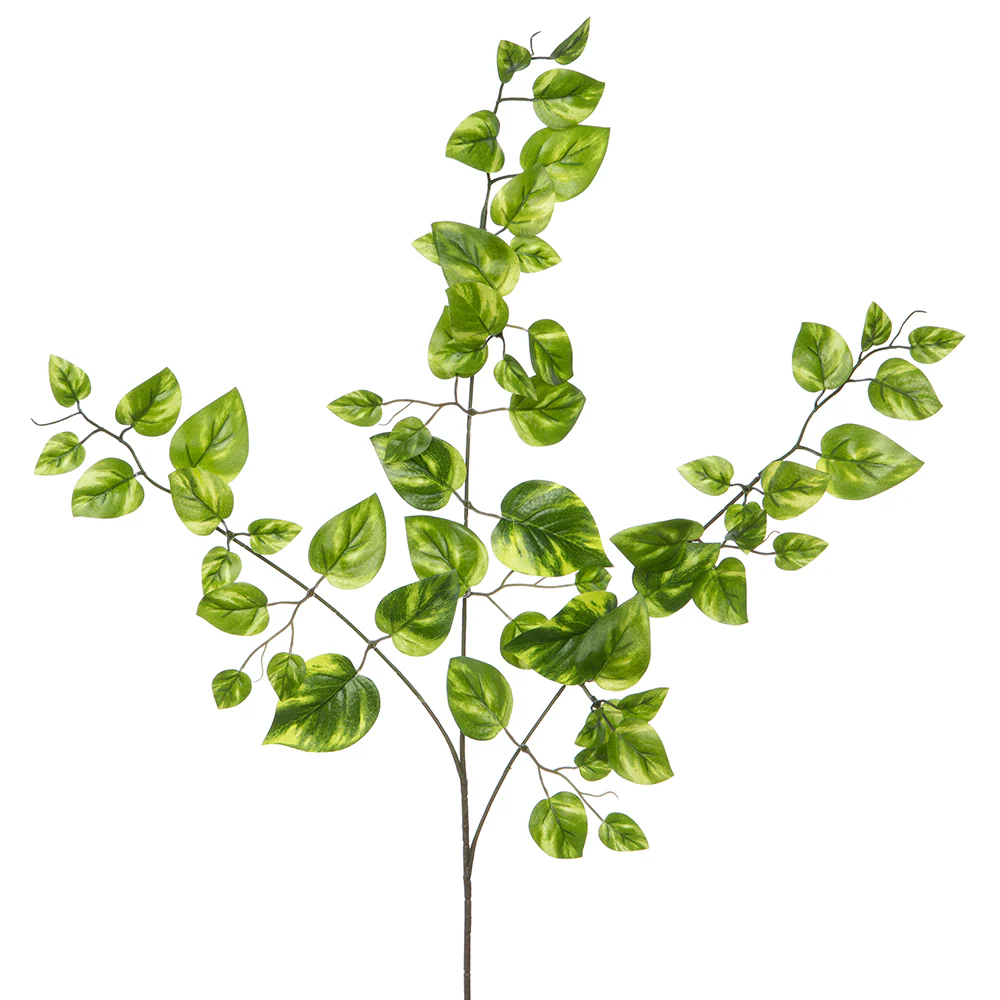 22" Silk Mini Pothos Leaf Stem -Green (Pack of 12)