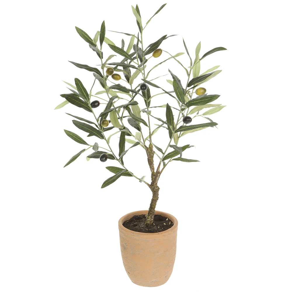 2'2" Silk Olive Tree w/Cement Pot -Green (Pack of 2)