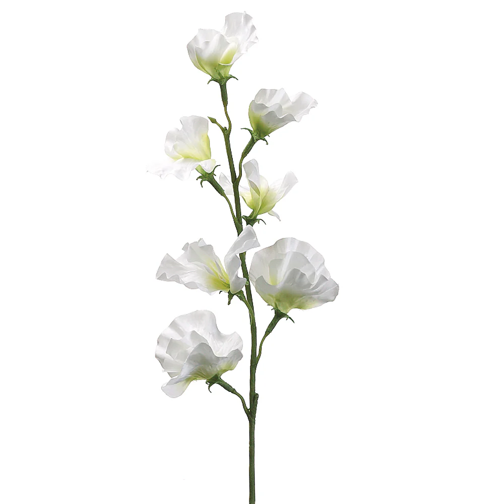 22" Silk Sweet Pea Flower Spray -Cream (Pack of 12)