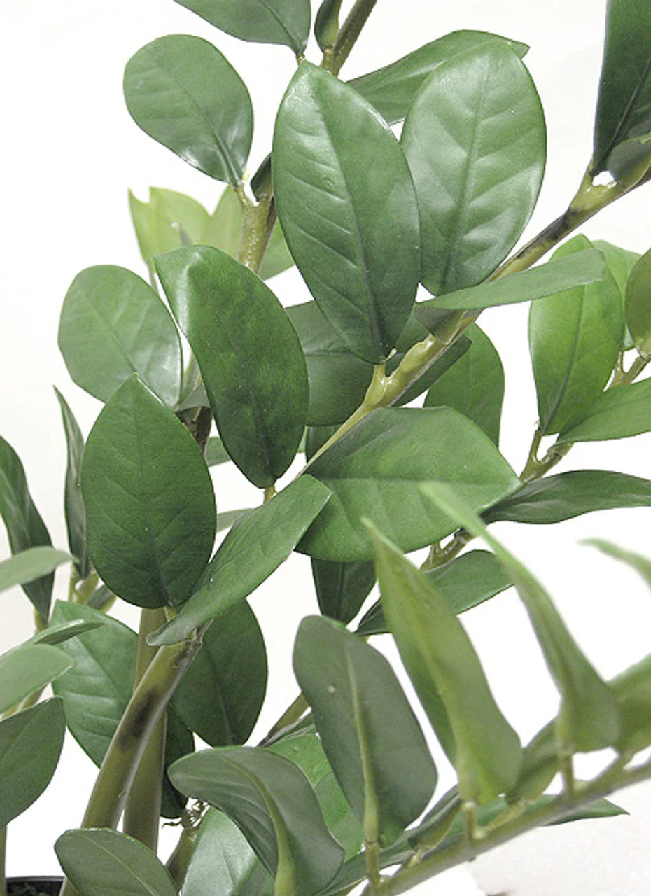 22" Soft-Touch Zanzibar Gem Zamioculcas Succulent Artificial Plant w/Pot -Green - Image 2