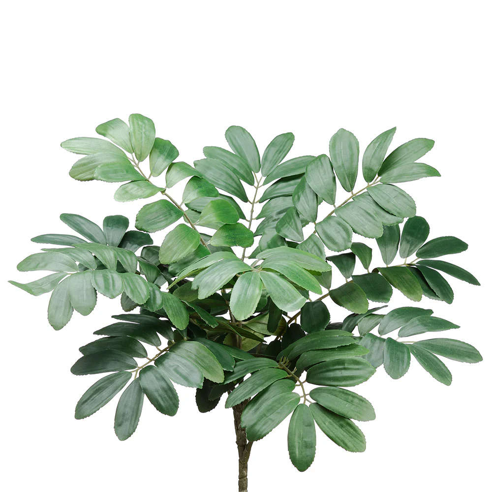 22" Zamia Furfuracea Silk Plant -Green (Pack of 12)