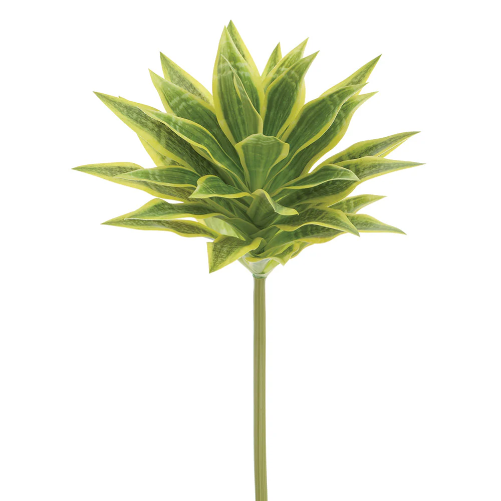 23.5" Artificial Dracaena Leaf Stem -2 Tone Green (Pack of 12)