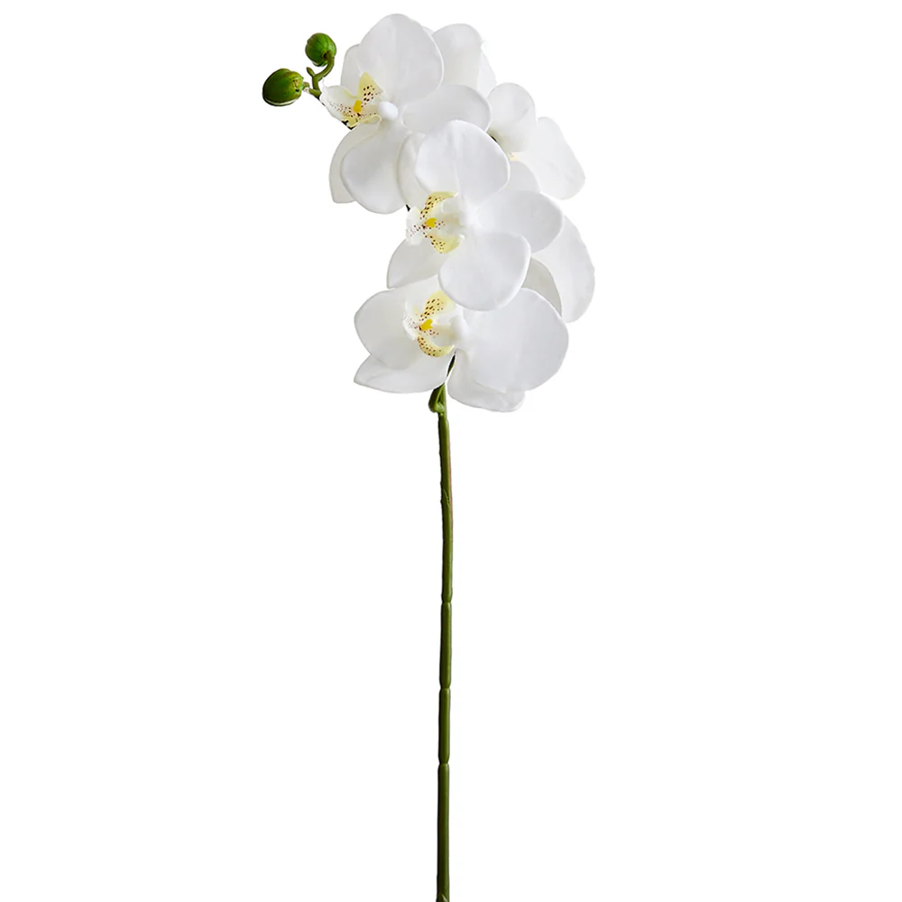 23.5" Small Silk Phalaenopsis Orchid Flower Stem -White (Pack of 12)