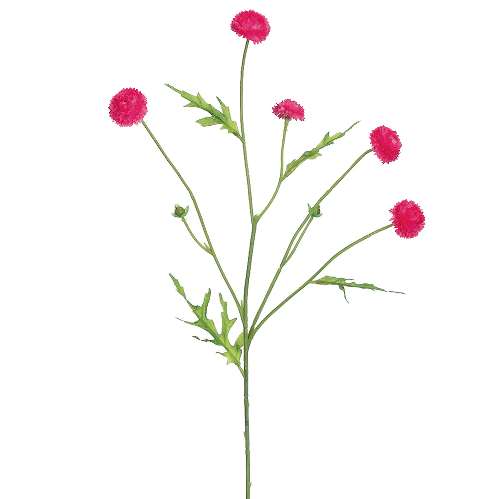 23.5" Wild Pompom Silk Flower Stem -Beauty (Pack of 24)