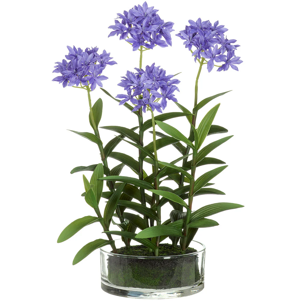 23" Agapanthus Plant Silk Flower Arrangement w/Glass Vase -Blue/Delphinium (Pack of 2)