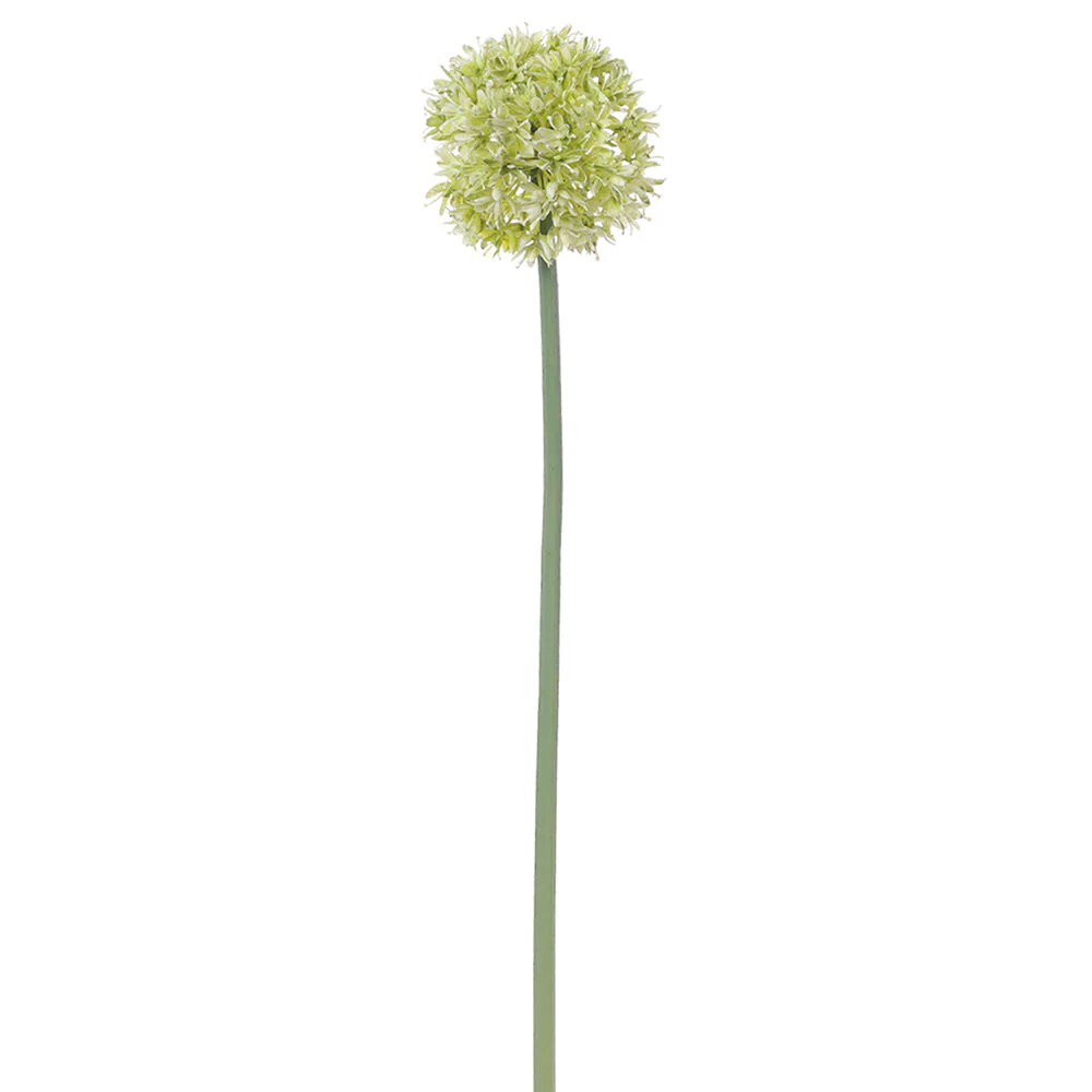 23" Allium Silk Flower Stem -Green (Pack of 12)