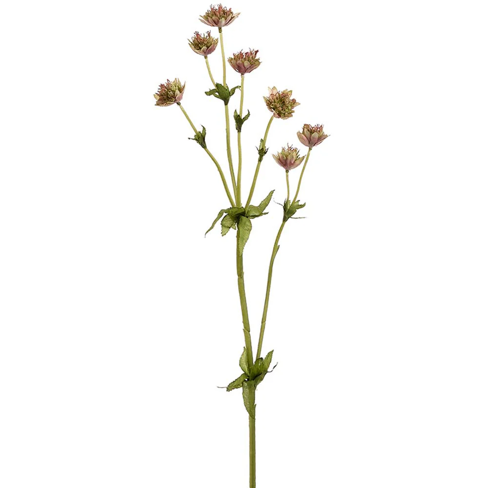 23" Astrantia Masterwort Silk Flower Stem -Mauve/Green (Pack of 12)