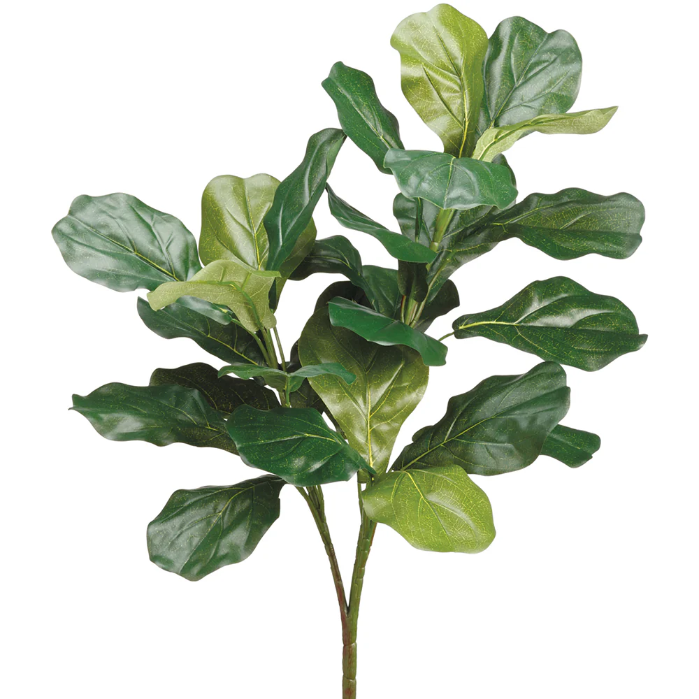 2'3" Fiddle Leaf Fig Silk Plant -Green (Pack of 12)