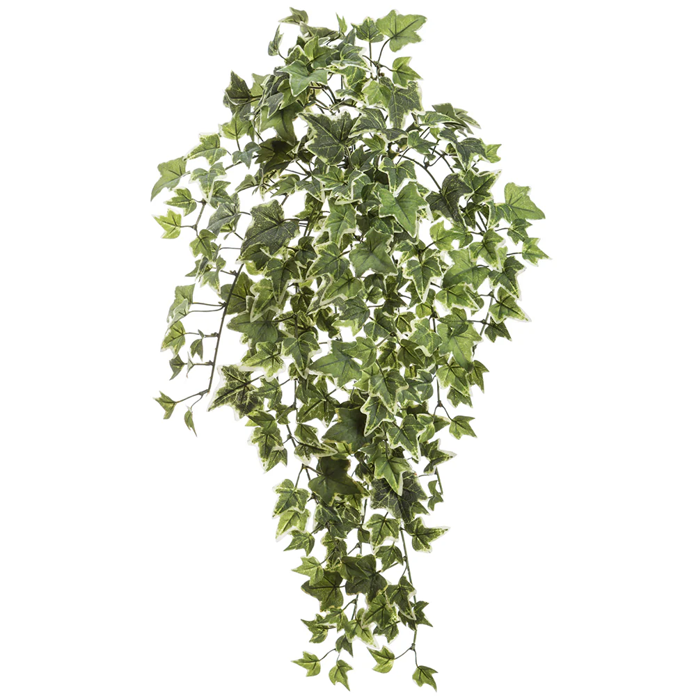 23" Mini English Ivy Leaf Silk Hanging Plant -Frosted Variegated (Pack of 12)
