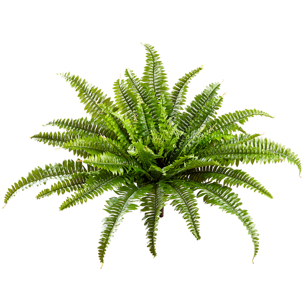 23" Outdoor UV-Resistant Artificial Boston Fern Plant -Green (Pack of 6)
