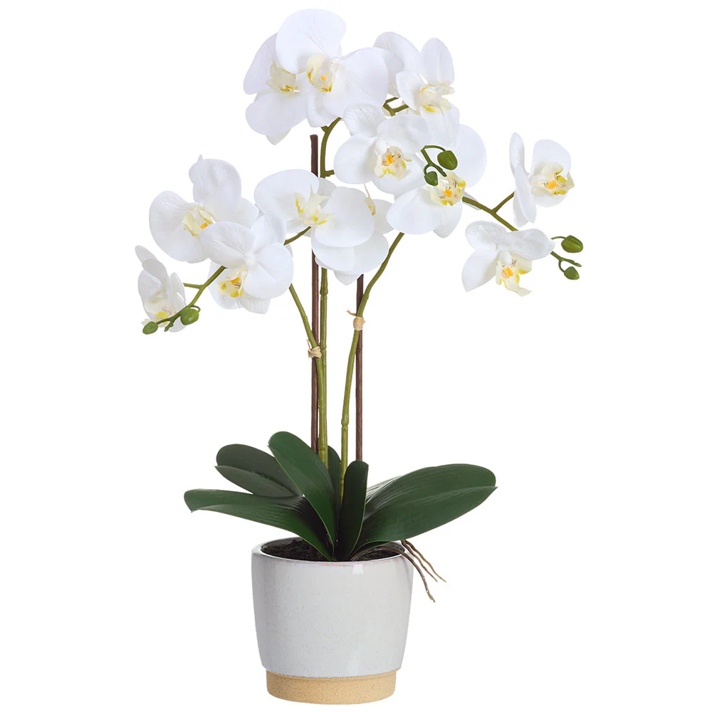 23" Phalaenopsis Orchid Silk Flower Arrangement w/Ceramic Vase -White (Pack of 4)