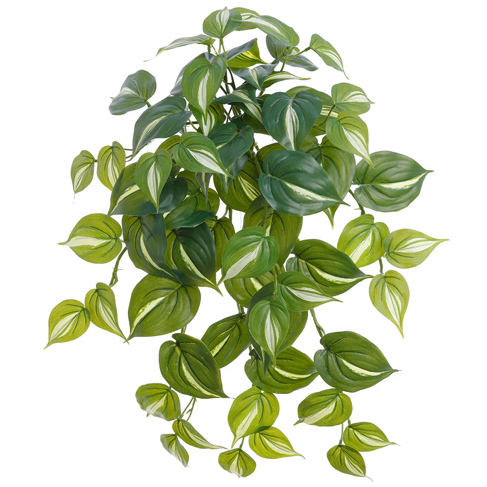 23" Philodendron Leaf Silk Hanging Plant -Green/White (Pack of 6)