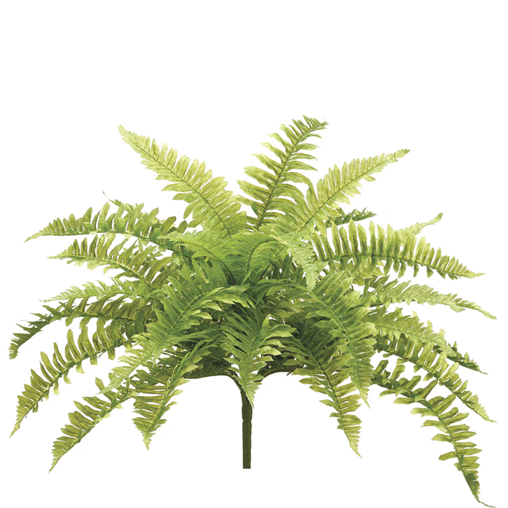 23" Real Touch Boston Fern Silk Plant -30 Leaves -Light Green (Pack of 4)
