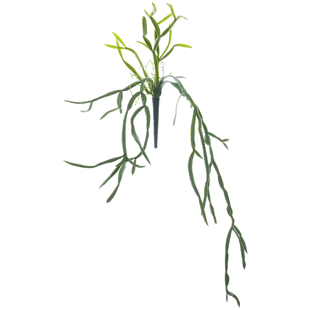 23" Real Touch Hanging Pencil Cactus Artificial Stem Pick -Green (Pack of 12)