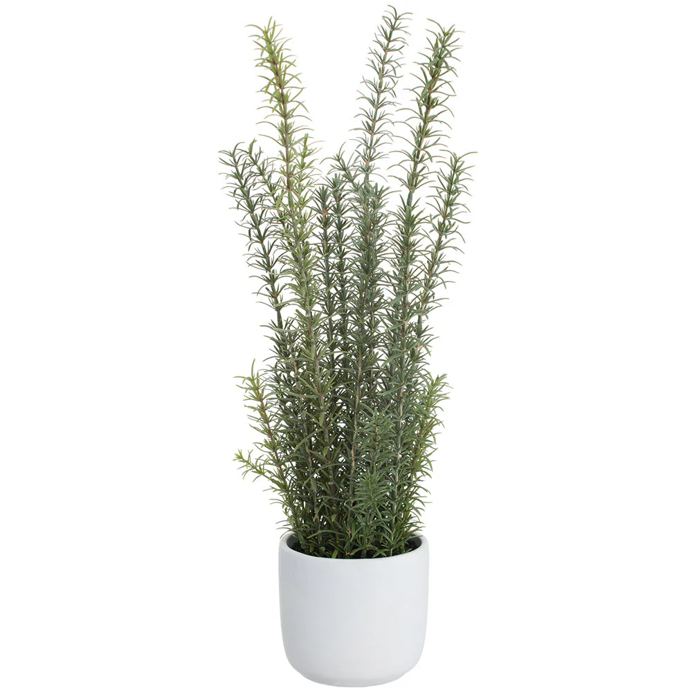 23" Rosemary Herb Artificial Plant w/Cement Pot -Green/Gray (Pack of 2)