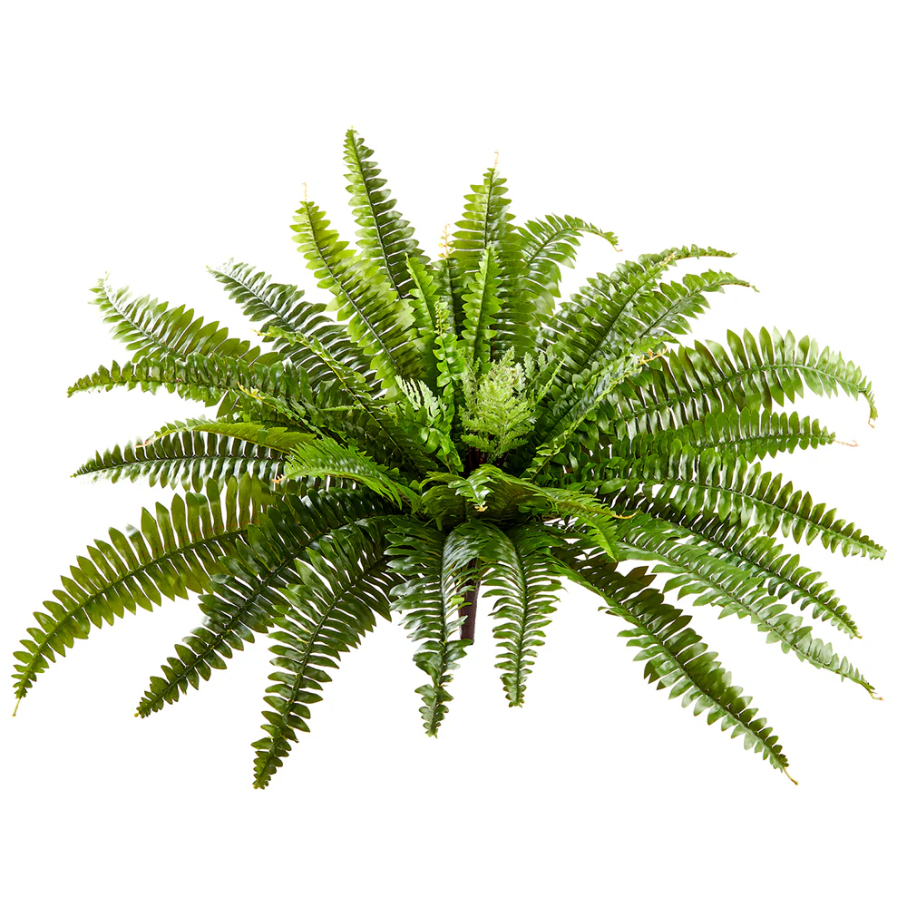 23" Silk Boston Fern Plant -Green (Pack of 6)