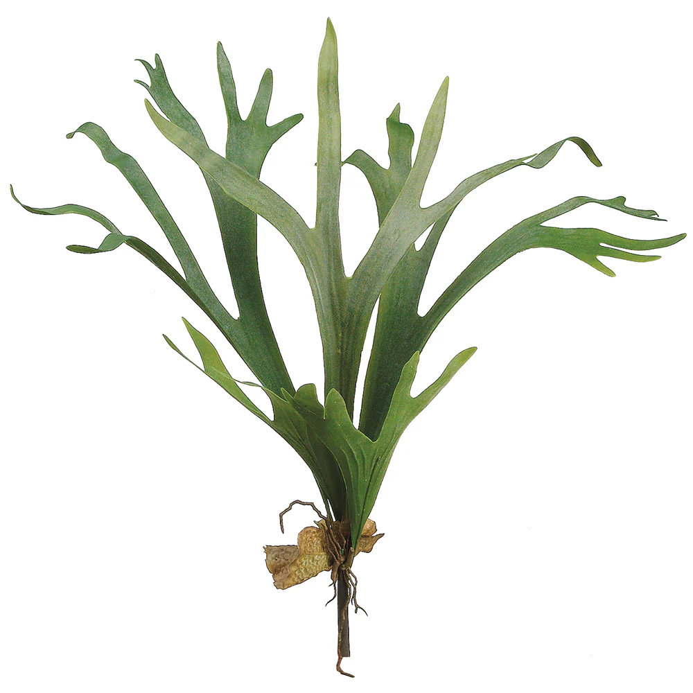 24.5" Artificial Staghorn Plant Fern Stem -Green (Pack of 4)