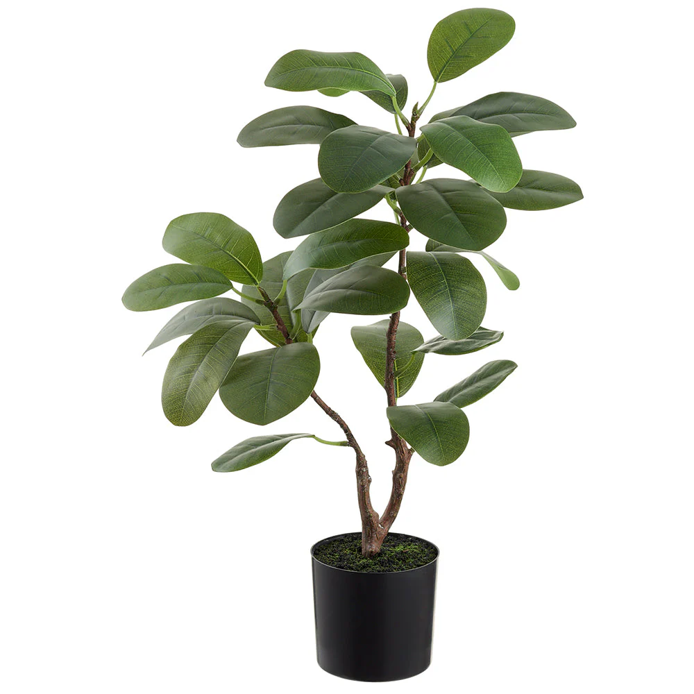 24.8" Ficus Audrey Leaf Silk Tree w/Plastic Pot -Green (Pack of 4)