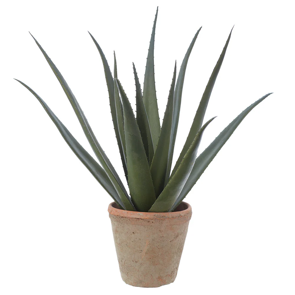 24" Agave Artificial Plant w/Clay Pot -Green (Pack of 2)