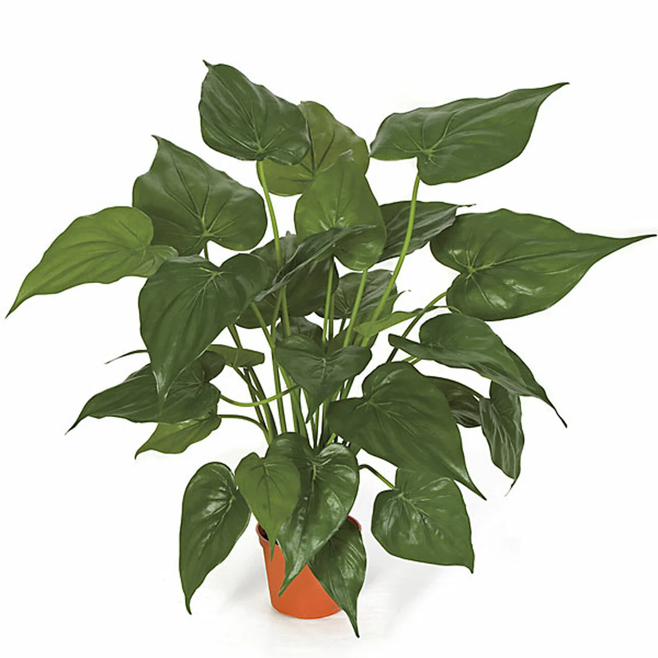 24" Alocasia Leaf Silk Plant w/Terra Cotta Pot -Green (Pack of 2)