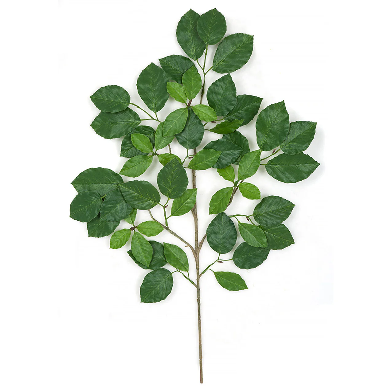24" Artificial Common Beech Branch Stem -Green (Pack of 12)