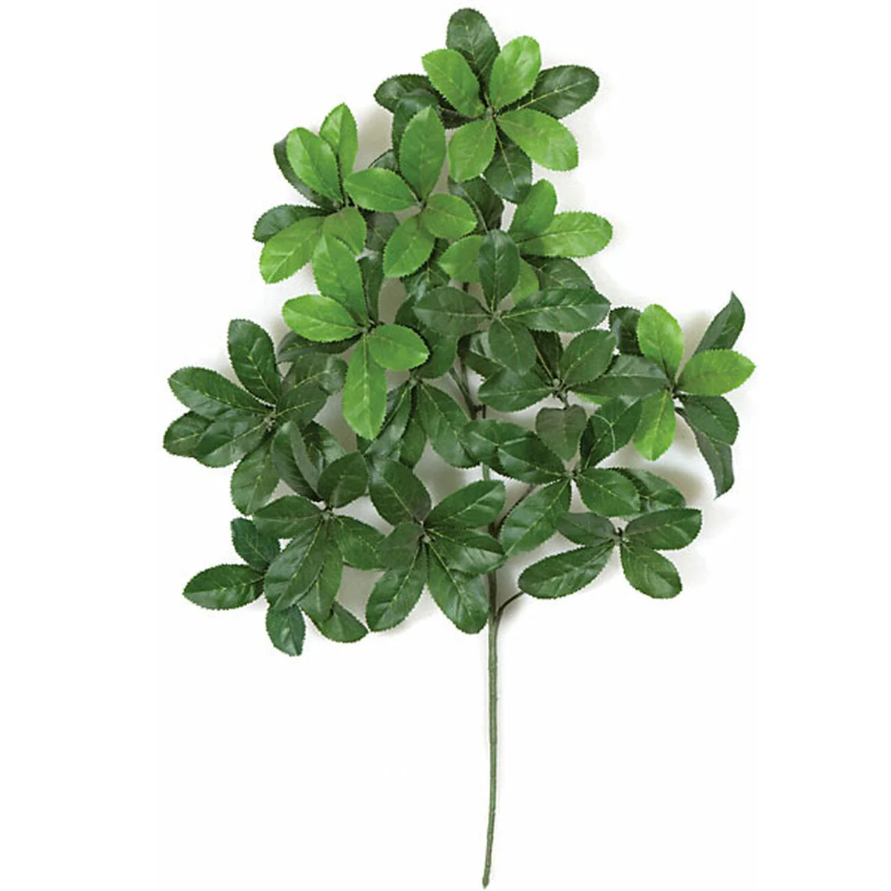 24" Artificial Laurel Leaf Branch Stem -Green (Pack of 12)