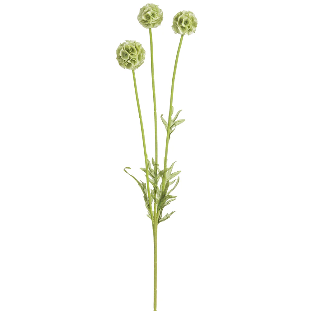 24" Artificial Scabiosa Flower Stem -Light Green (Pack of 12)