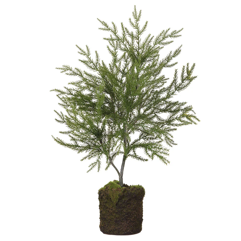 24" Artificial Spruce Tree w/Soil & Moss -Green (Pack of 4)