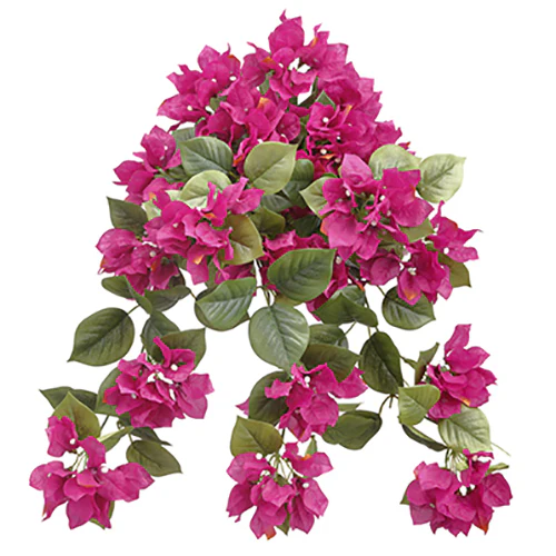 24" Bougainvillea Silk Hanging Flower Bush -Beauty (Pack of 6)