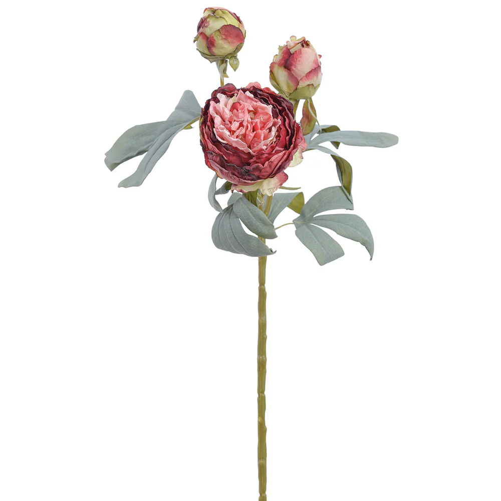 24" Dried-Look Large Peony Silk Flower Stem -Burgundy/Pink (Pack of 12)