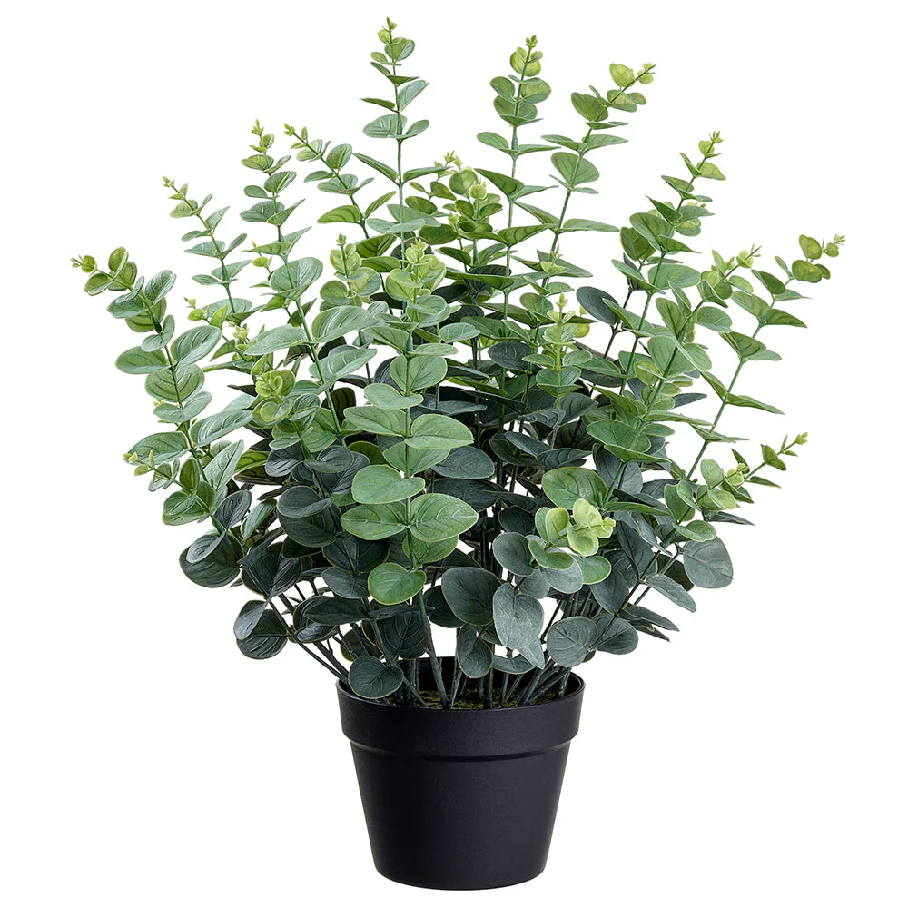 24" Eucalyptus Leaf Silk Plant w/Plastic Pot -Green/Gray