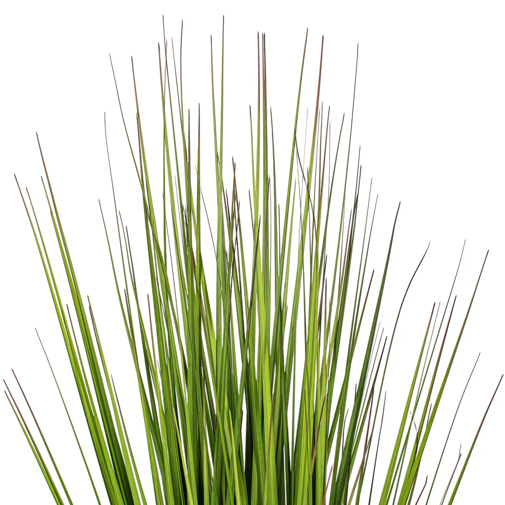 24" Flax Grass Artificial Plant w/Pot -Green/Burgundy - Image 2