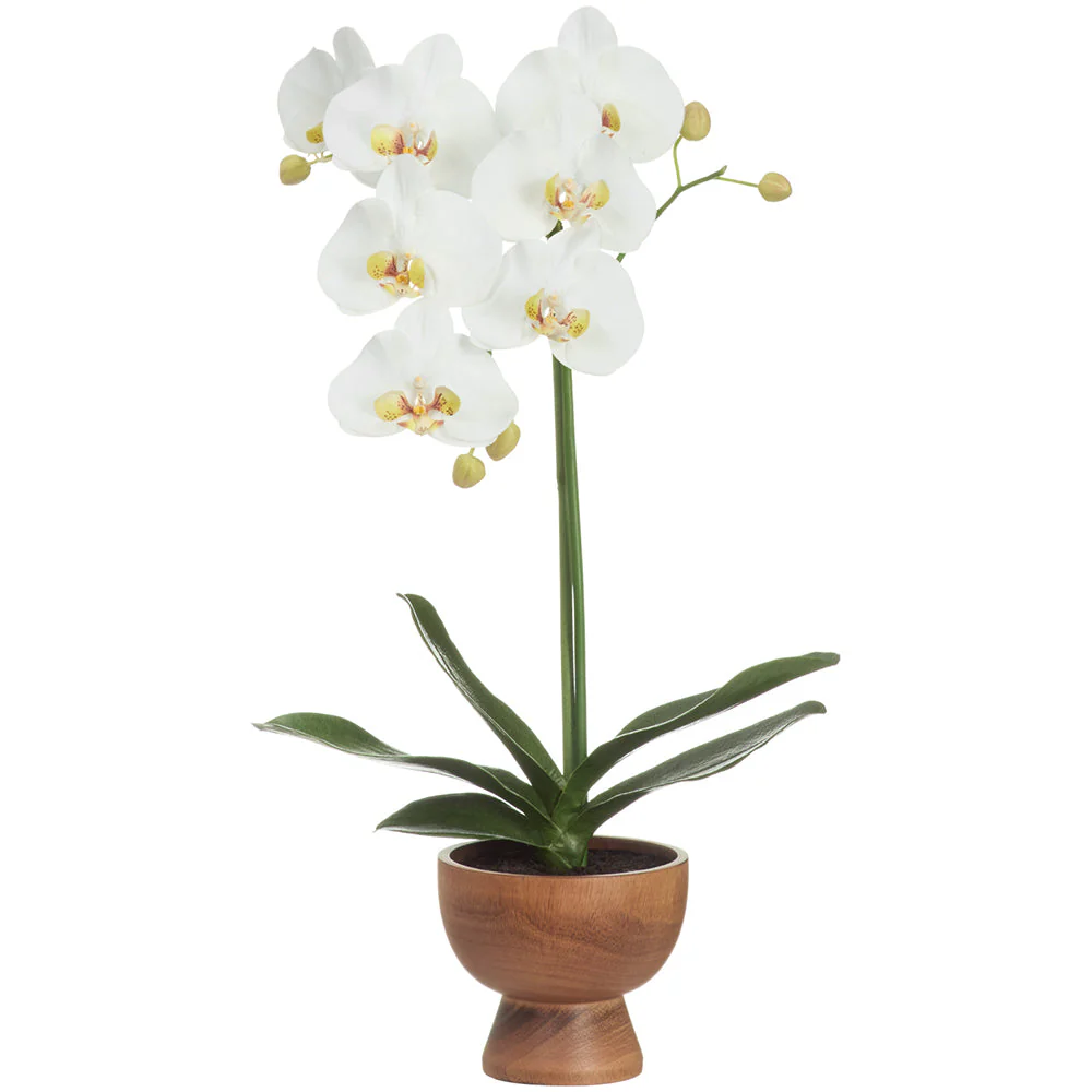 24" Hand-Wrapped Phalaenopsis Orchid Artificial Flower Arrangement w/Wood Planter -Cream/Green