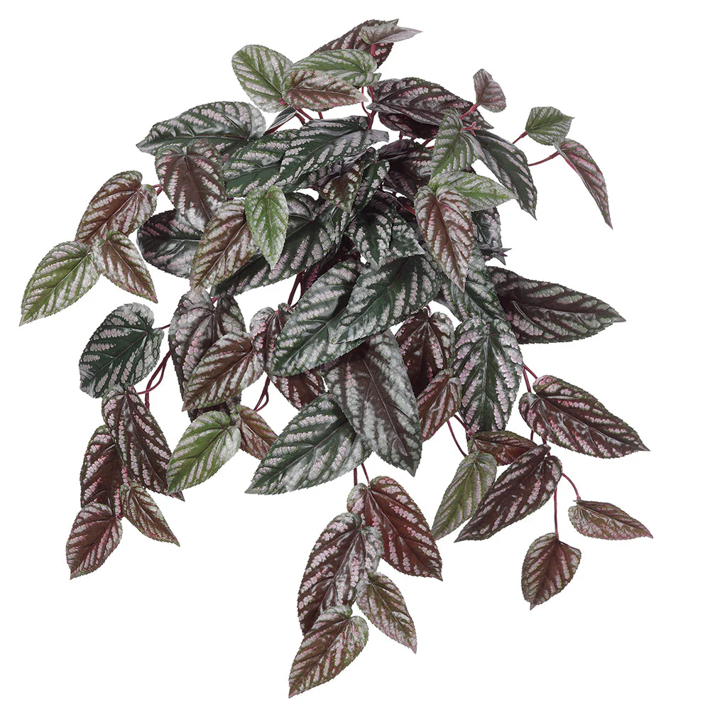 24" Hanging Rex Begonia Silk Plant -Green/Burgundy (Pack of 6)