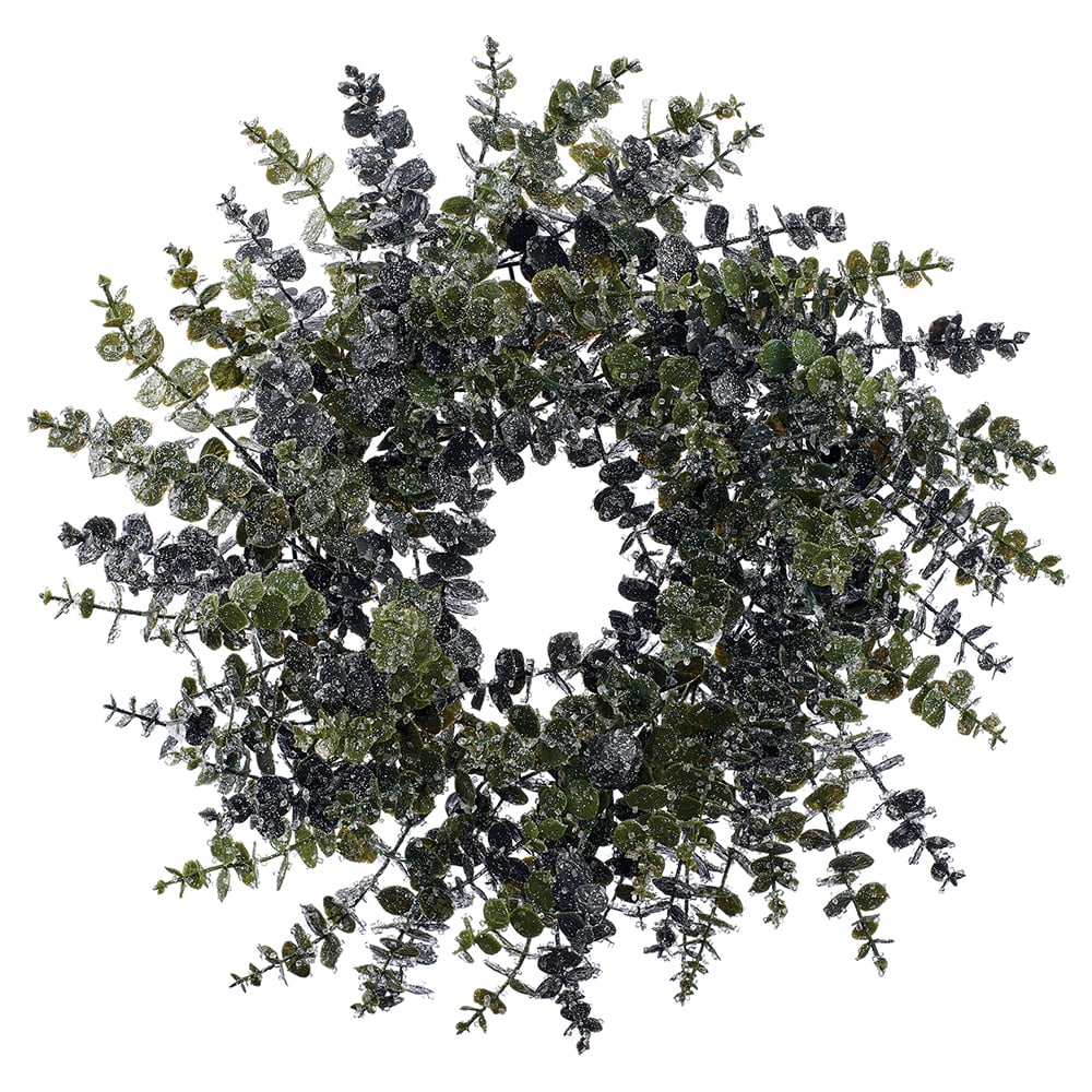 24" Iced Artificial Eucalyptus Leaf Wreath -Green (Pack of 2)