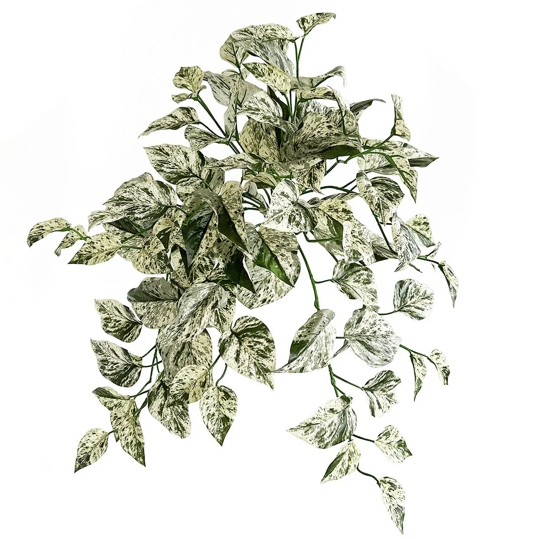 24" IFR Artificial Hanging Pothos Leaf Plant -White/Green (Pack of 6)