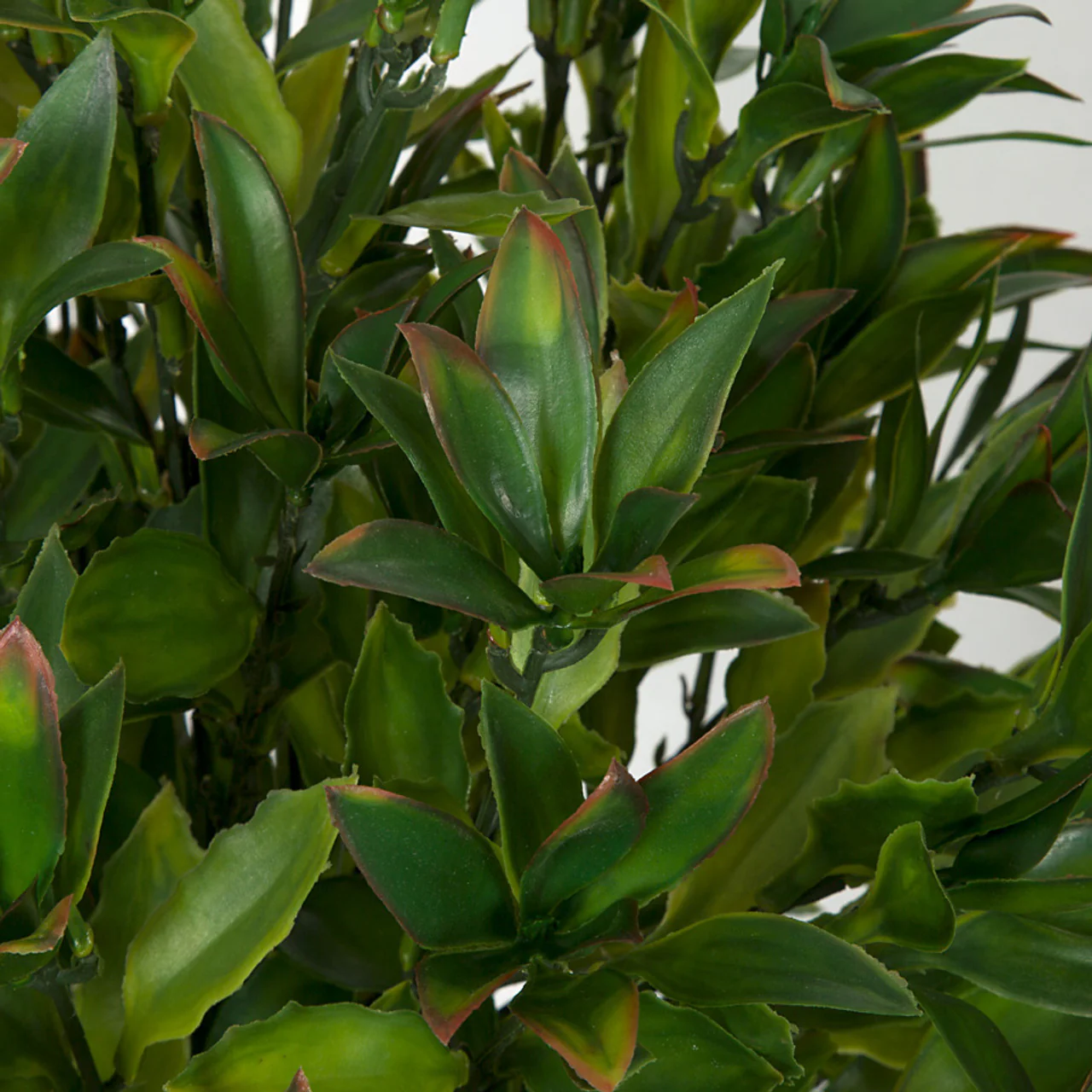 24" IFR Magnolia Leaf Artificial Plant -Green/Red - Image 2