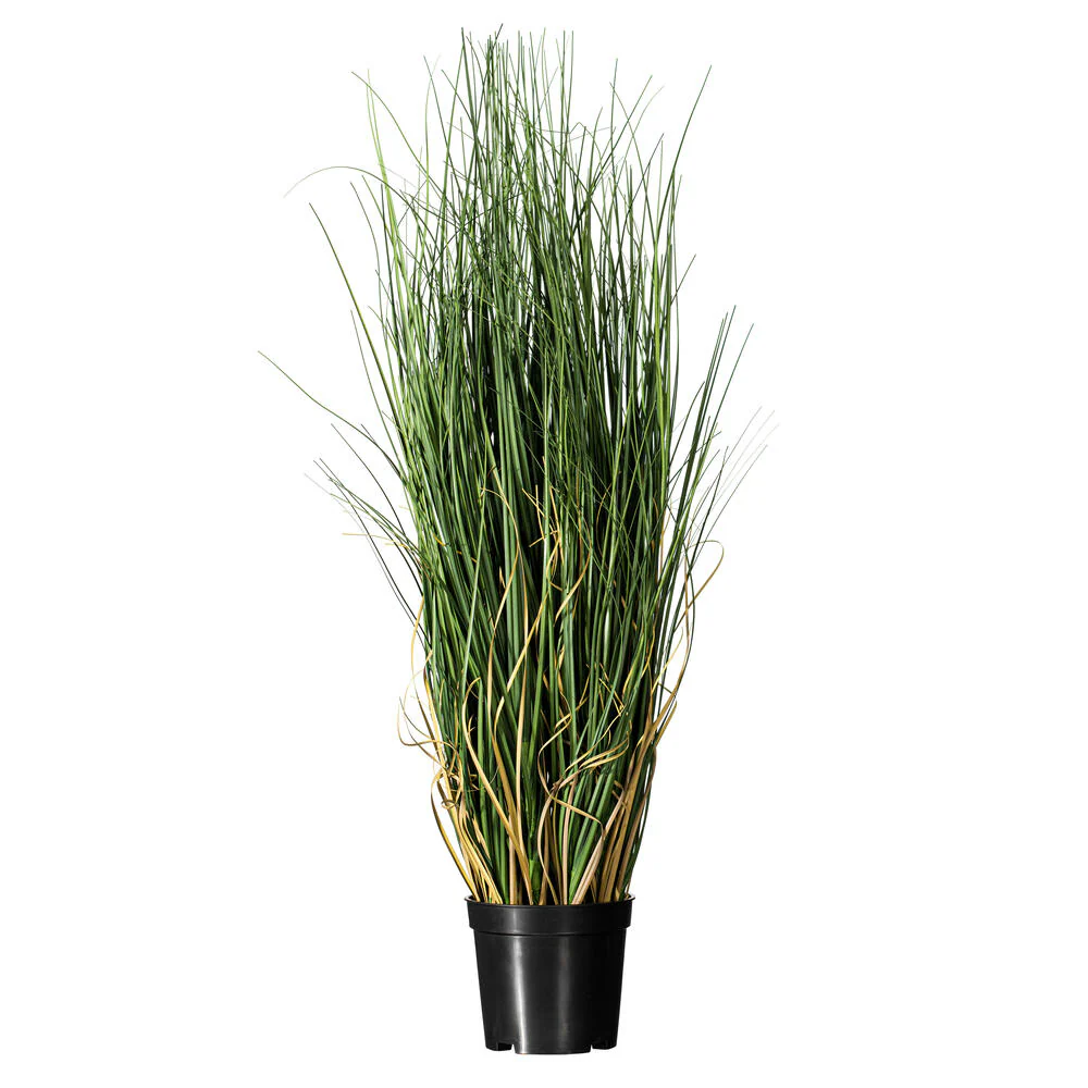 24" IFR PVC Curled Grass Artificial Plant w/Pot -Green
