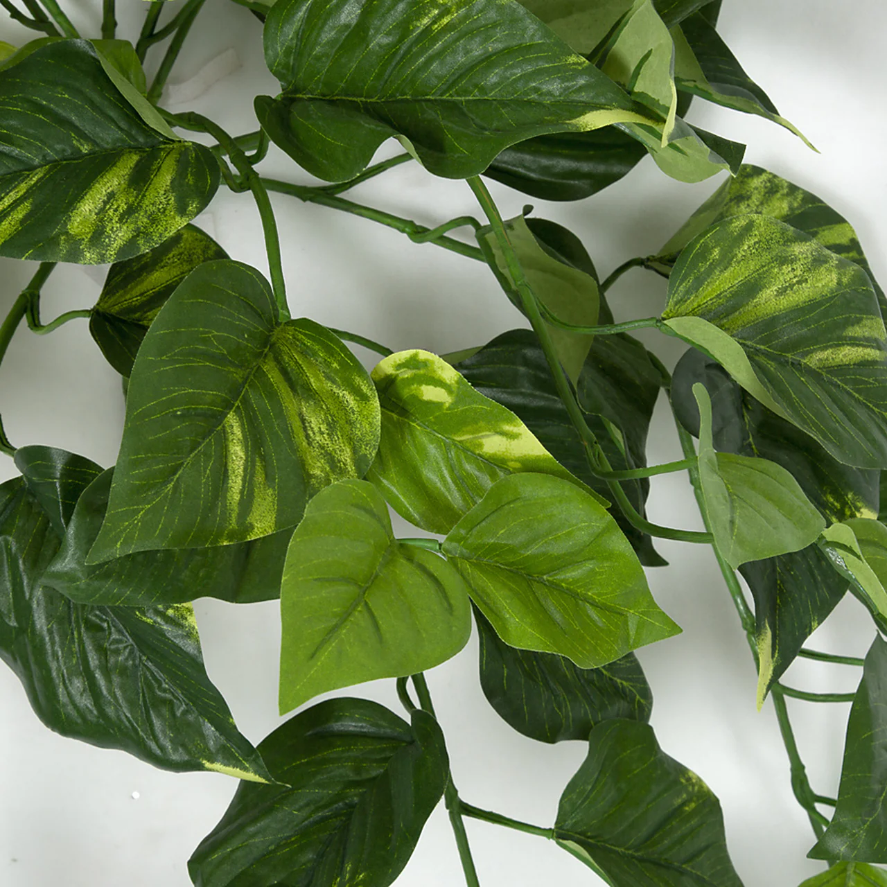 24" IFR Variegated Pothos Vine Artificial Hanging Plant -100 Leaves -Green (Pack of 6) - Image 2
