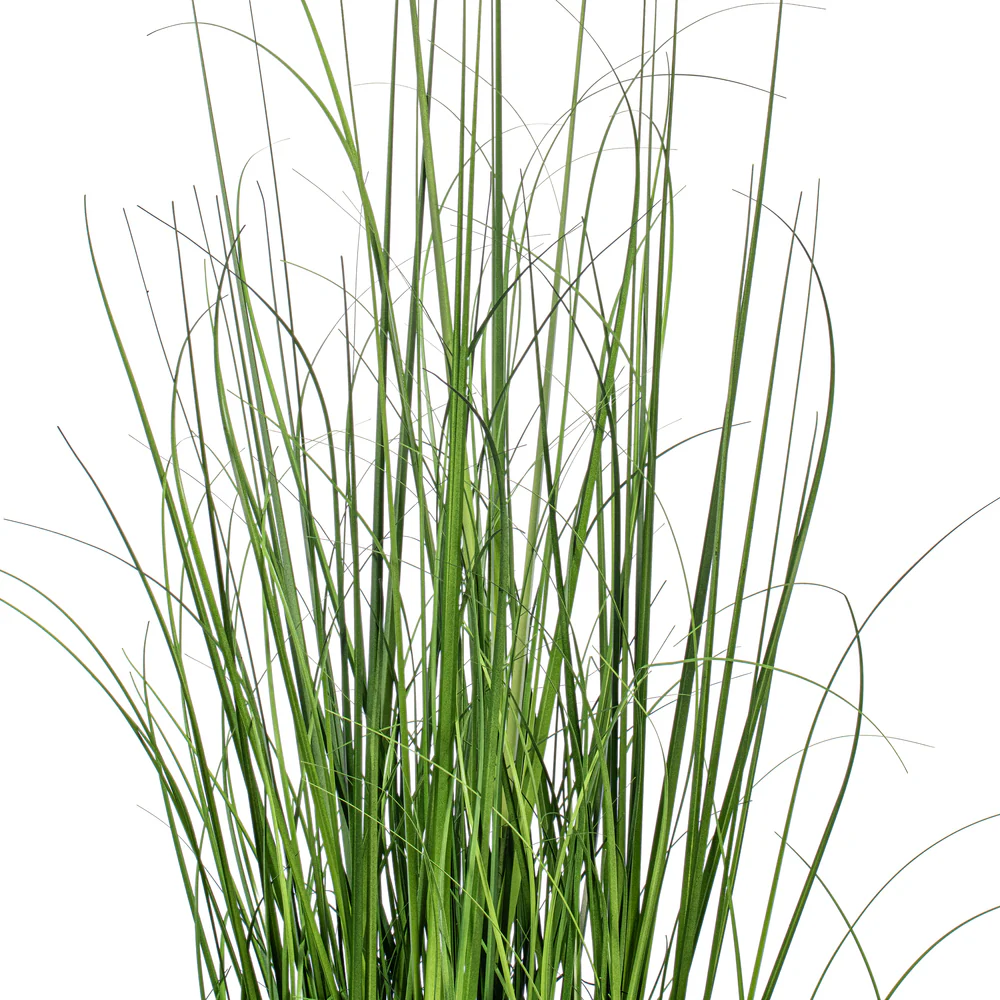 24" Lemongrass Artificial Plant w/Pot -Green - Image 2