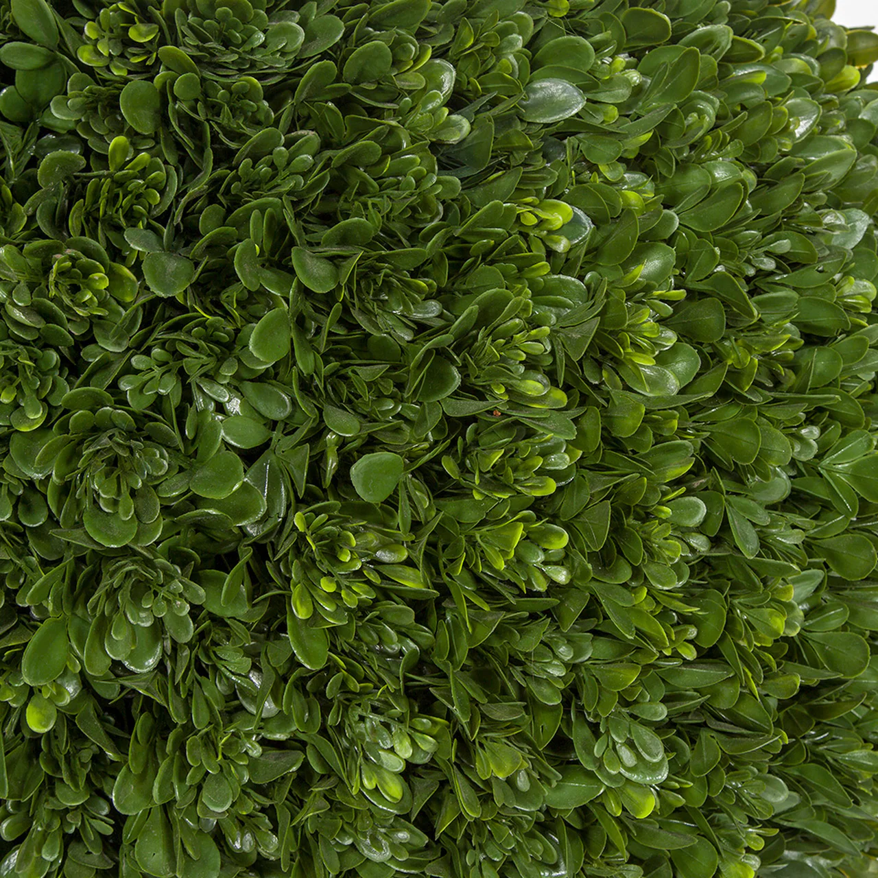 24" Outdoor UV-Resistant Artificial Japanese Boxwood Ball-Shaped Topiary w/Pot -Green - Image 2
