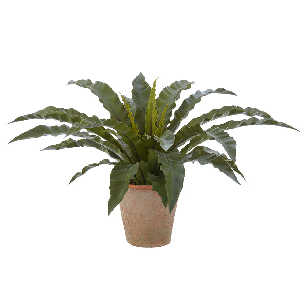 24" PE Soft-Touch Bird's Nest Fern Artificial Plant w/Clay Pot -Green (Pack of 2)
