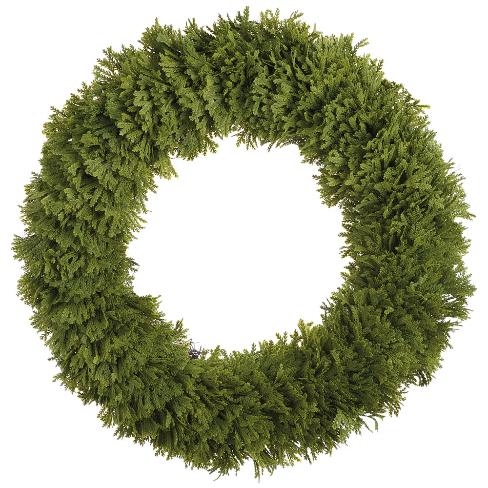24" PE Soft-Touch Spike Moss Artificial Wreath -Green