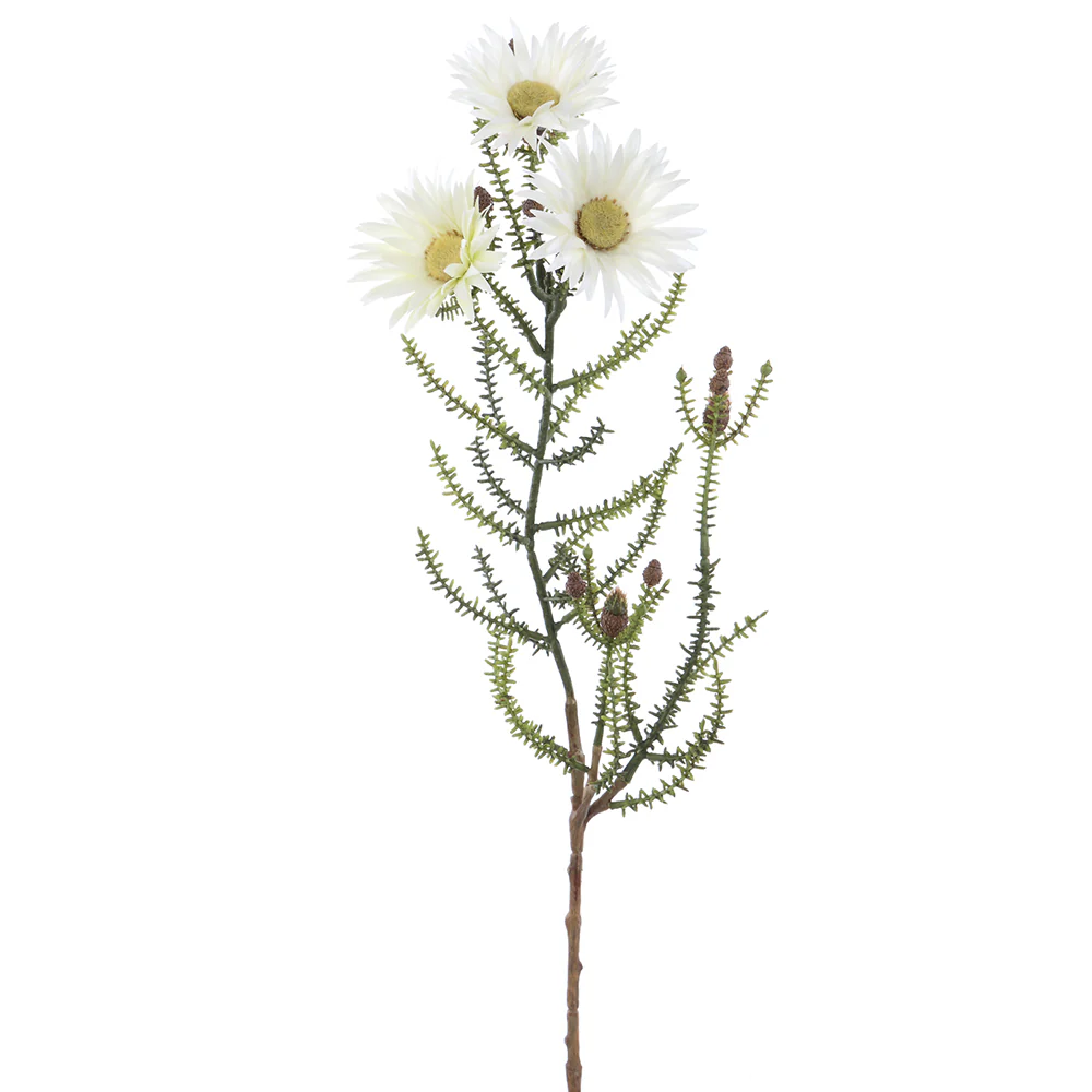 24" Silk Blooming Kaaps Green Flower Spray -White (Pack of 12)