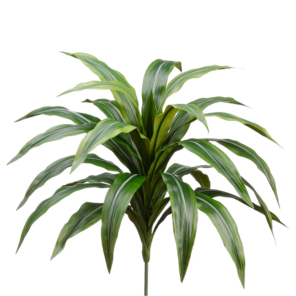 24" Silk Dracaena Leaf Plant -Green/Gray (Pack of 6)